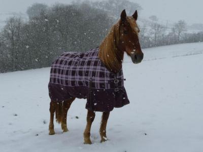 Paré pour la neige !